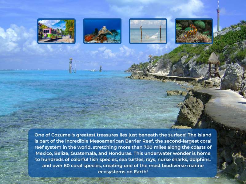 Lost in Cozumel